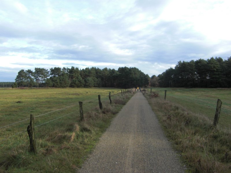 CIMG7187