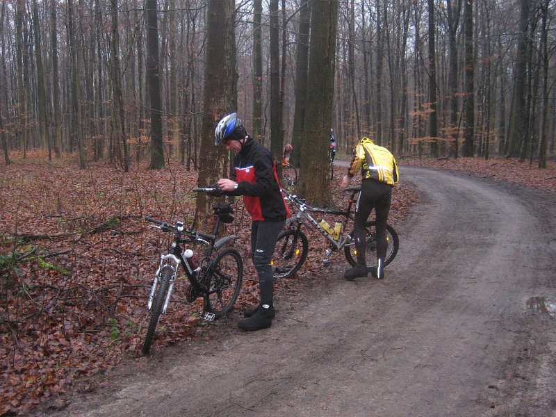 Panne-im-Wald
