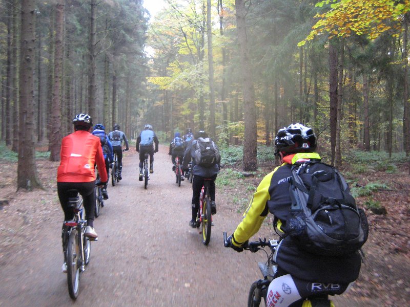 Wald-Autobahn...