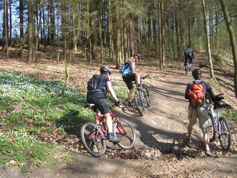 Zum Bericht der MTB-Tour Wilde Bille...