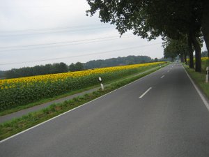 IMG_5202