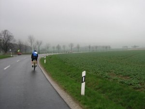 Fast-allein