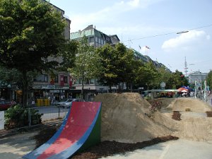 P8010007