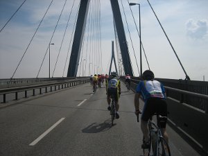IMG_0942