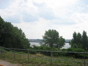 IMG_1000