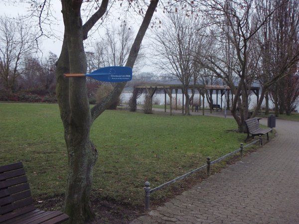 Winterlauf-Ratzeburg-31