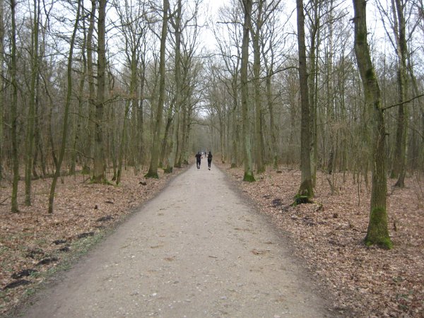 Waldautobahn
