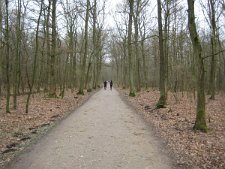 Waldautobahn