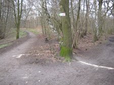 Wegbegrenzung