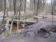 Zickzack-Weg