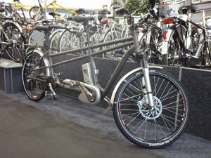 Pedelec-Tandem