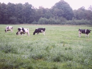 Gerd-Knoefel-Arbeitsweg-3