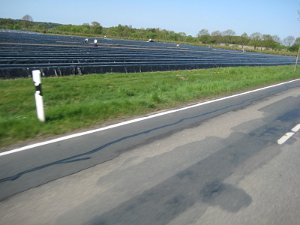 IMG_2300