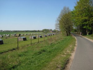 IMG_2303