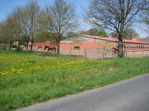 IMG_2334