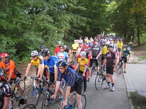 IMG_4286