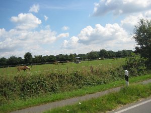 IMG_4329