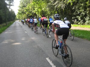 IMG_3911