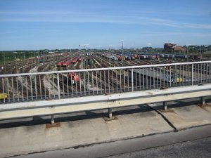 IMG_3915