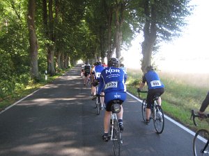 IMG_3942
