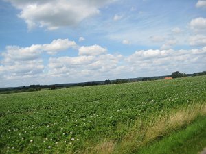 IMG_4011