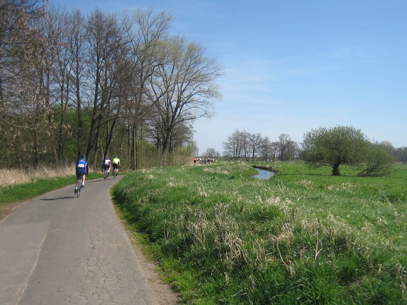 Altes-Land