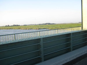 IMG_4150