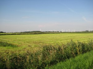 IMG_4162