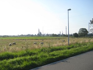 IMG_4164