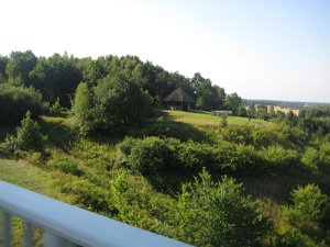 IMG_4175
