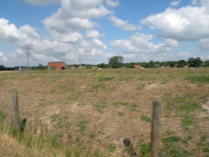 DSCN2214