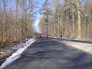 DSC01145