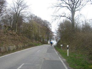 Img_2310