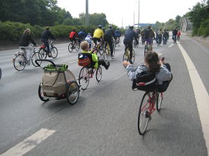 IMG_3138