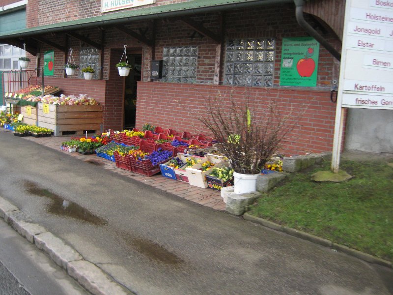 Blumen