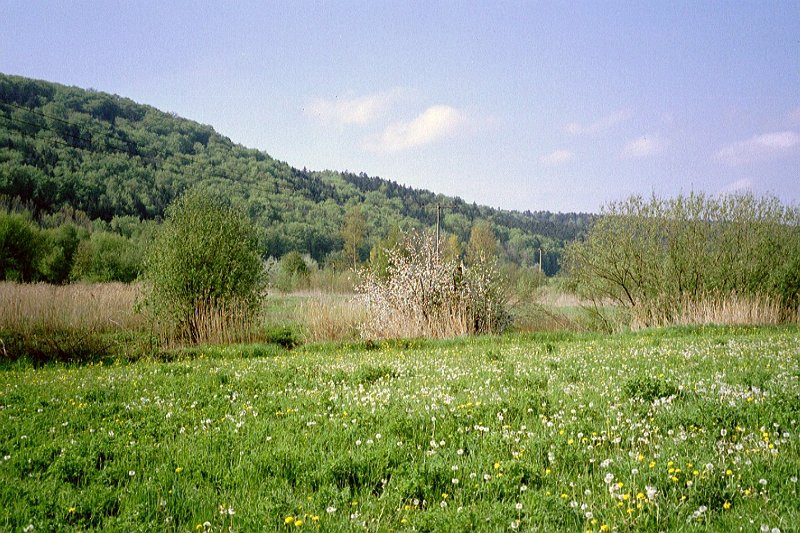 2-imm027