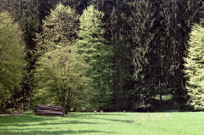 2-imm030