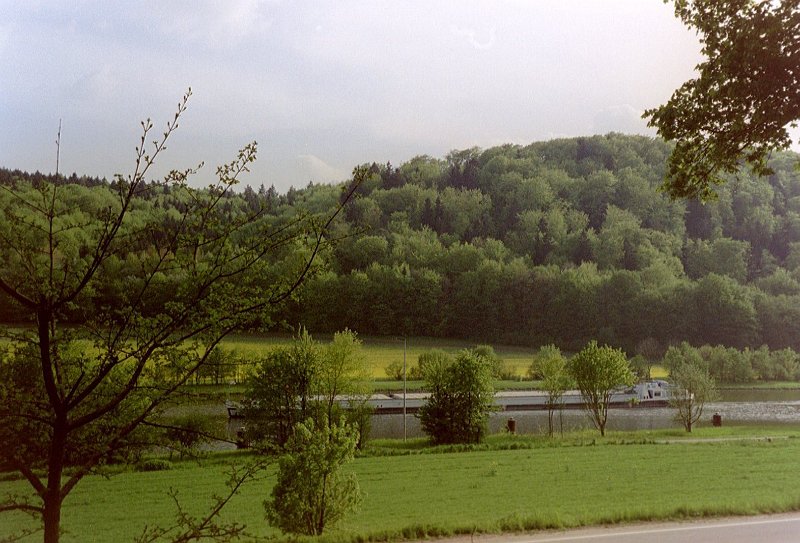 imm008-2