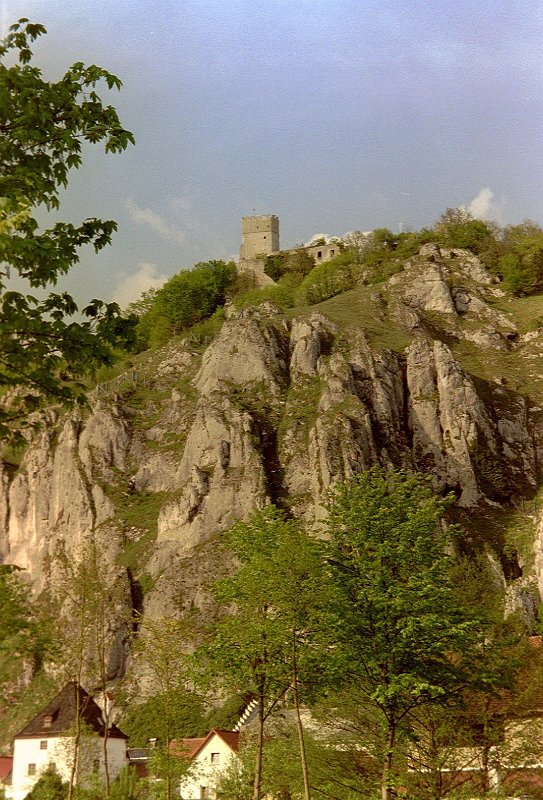 imm009
