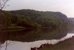 imm010