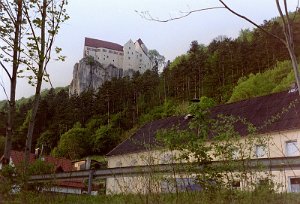 imm011