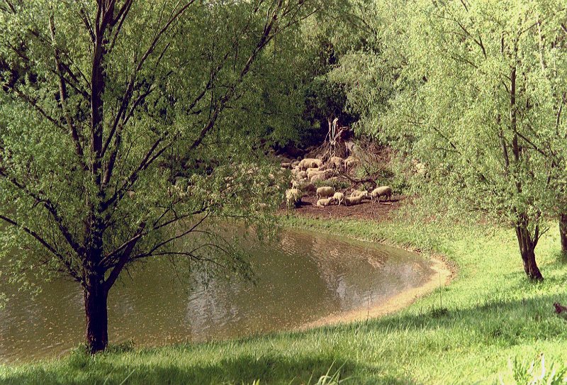3-imm015