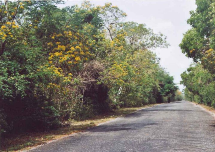 Landstrasse