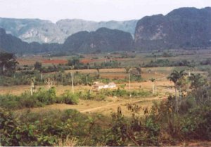 Blick-auf-Berge