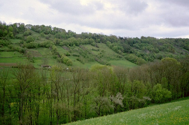 2-imm006