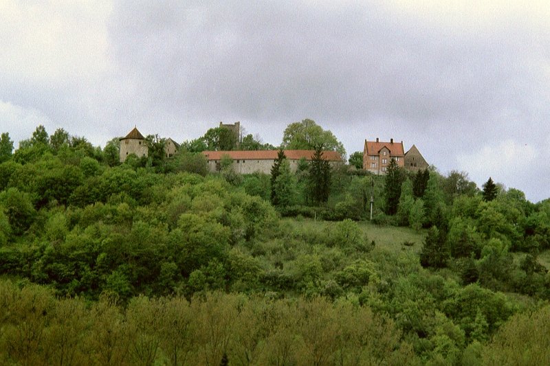 imm004