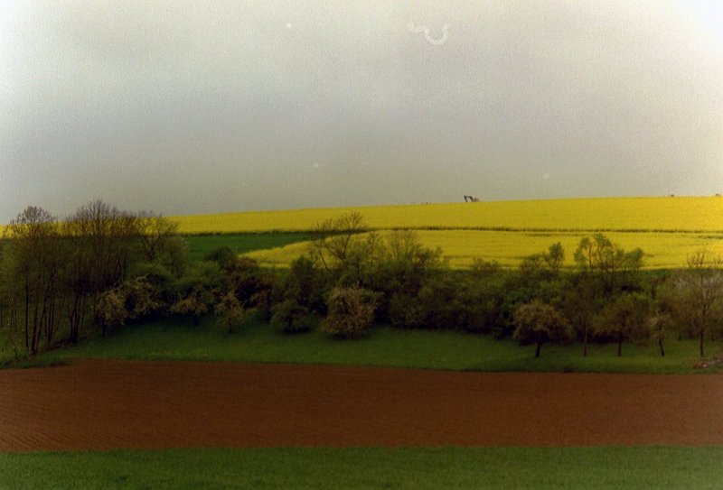 imm010
