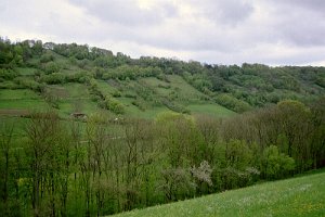 2-imm006