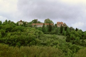 imm004