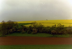 imm010